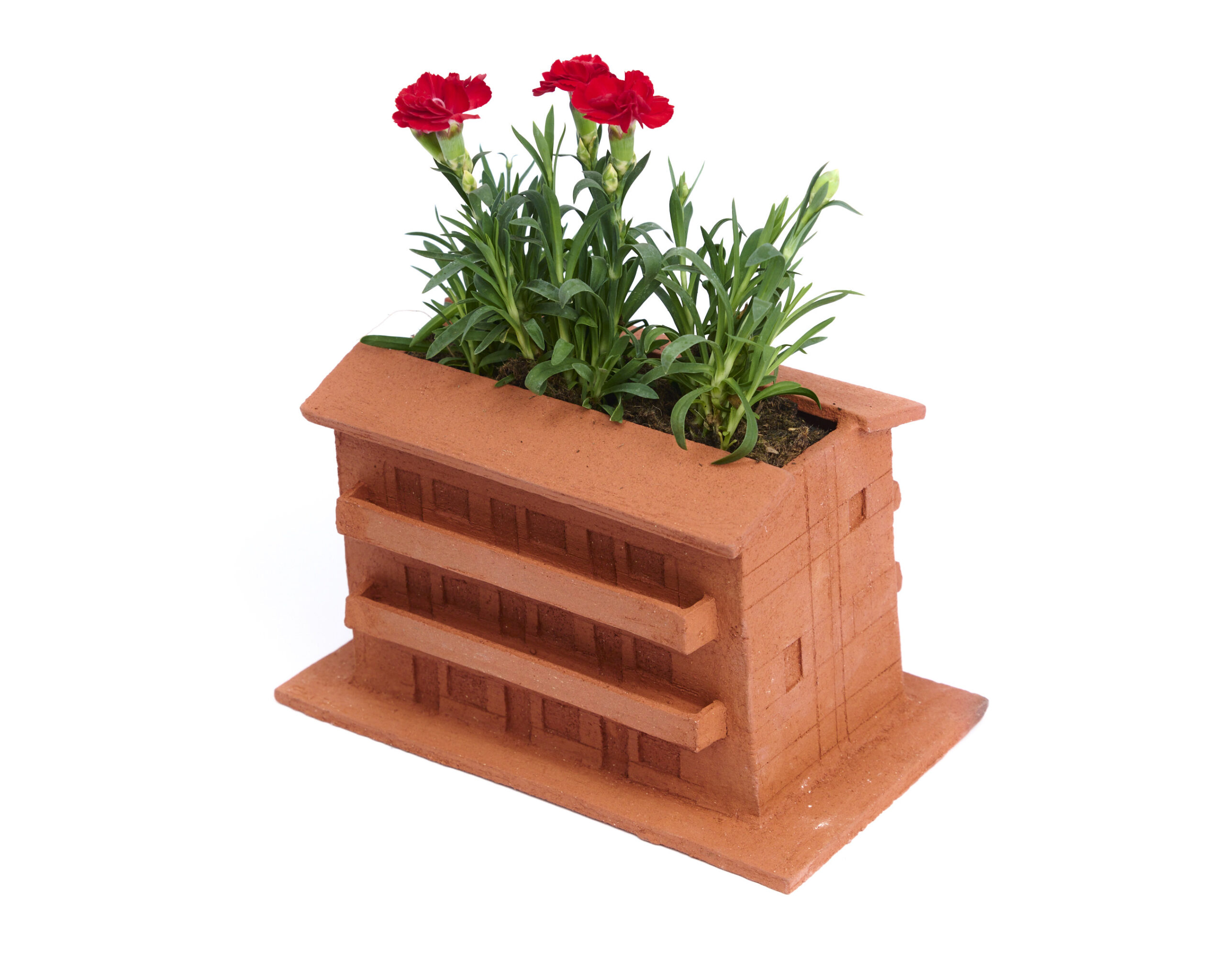 Christopher Suarez: House Planters