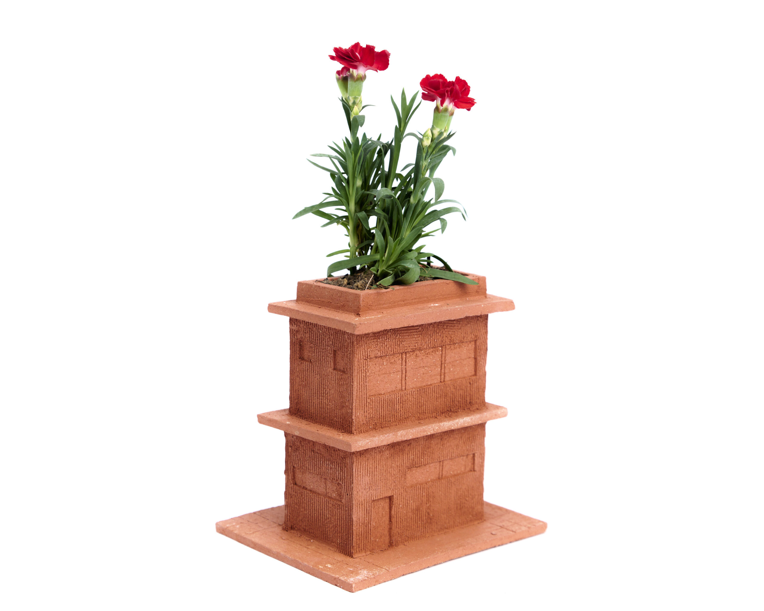 Christopher Suarez: House Planters