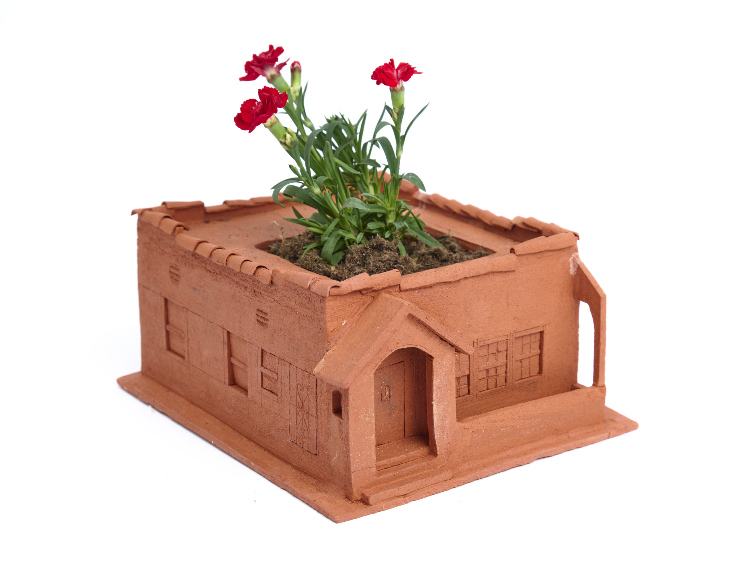 Christopher Suarez: House Planters